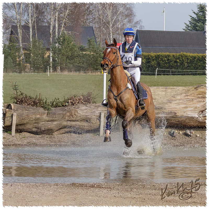 01-1504-9068-TRF-SaG-Nisse-XC