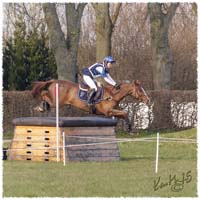 02-1504-9104-TRF-SaG-Dino-XC