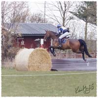 03-1504-9488-TRF-SaG-Ru-XC