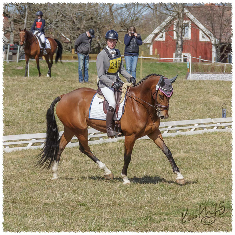 02-1504-9682-Mantorp-SaG-CoCo-DR