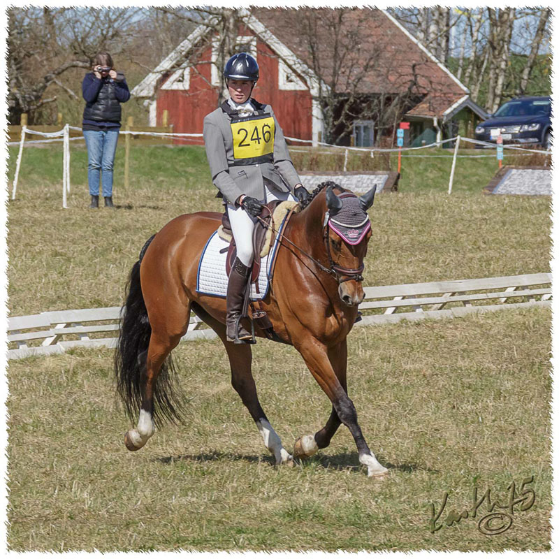 02-1504-9685-Mantorp-SaG-CoCo-DR