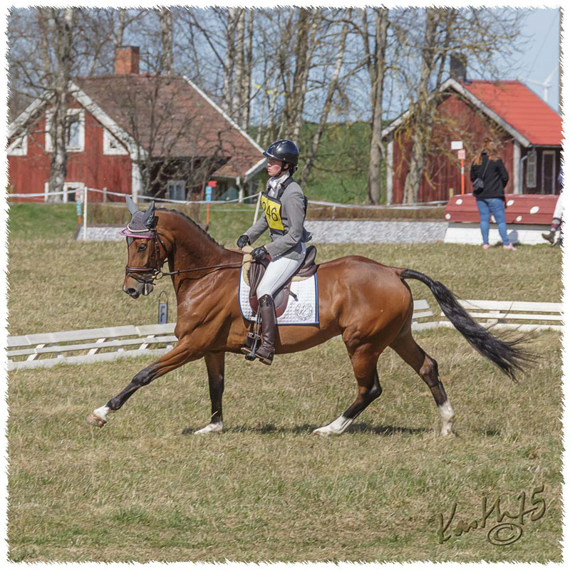 02-1504-9703-Mantorp-SaG-CoCo-DR