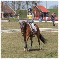 02-1504-9644-Mantorp-SaG-CoCo-DR