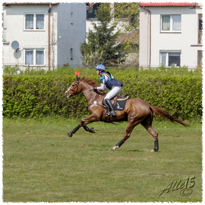 02-1504-2072-Sopot-SaG-Dino-XC