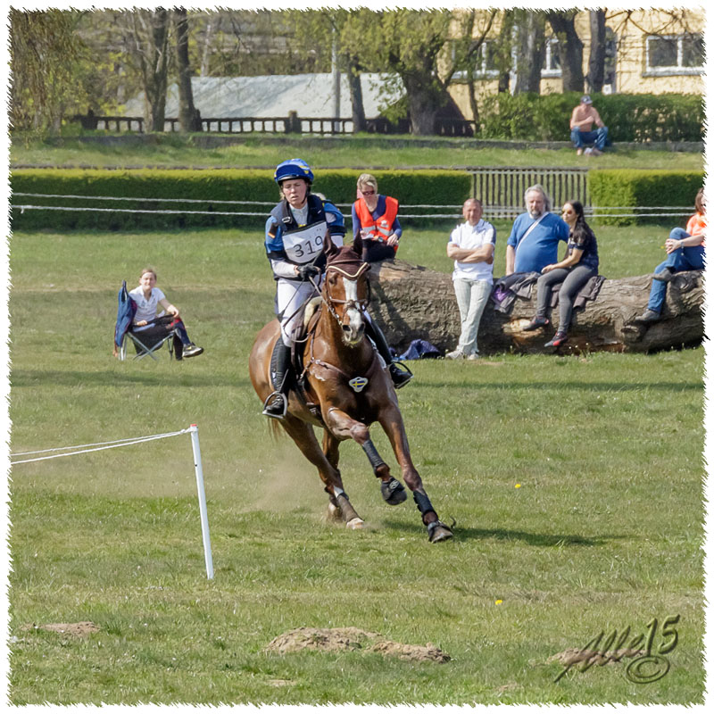 02-1504-2146-Sopot-SaG-Dino-XC