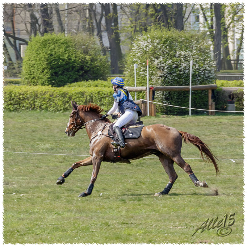 02-1504-2156-Sopot-SaG-Dino-XC