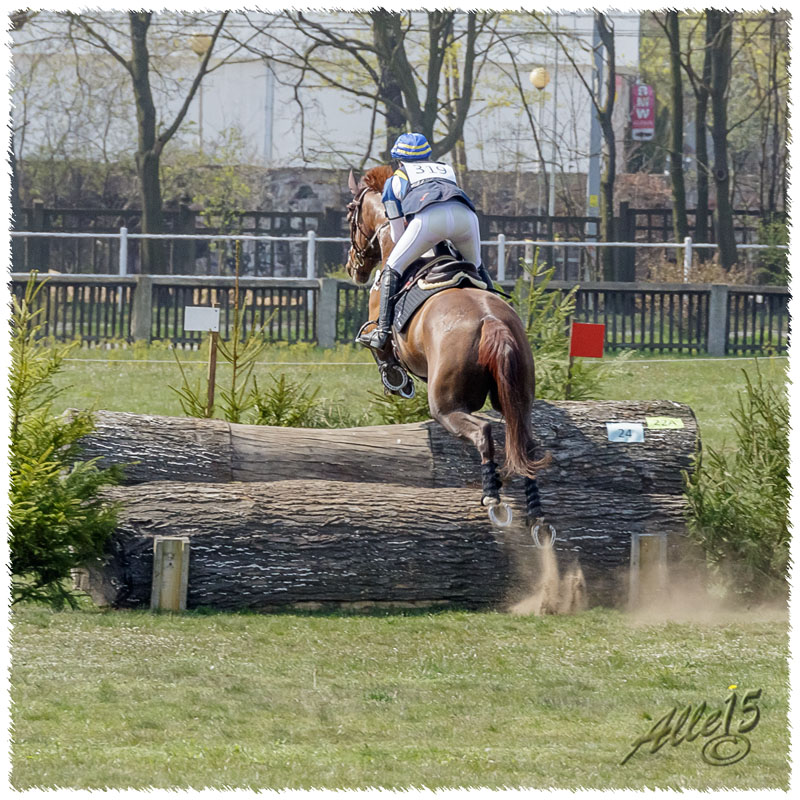 02-1504-2163-Sopot-SaG-Dino-XC