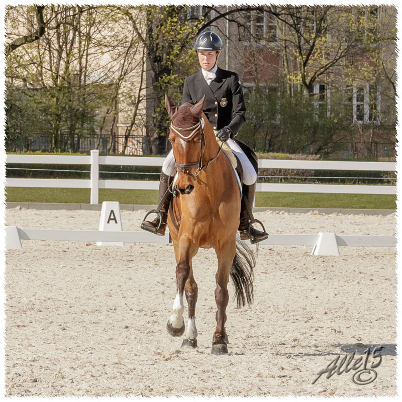 03-1504-1456-Sopot-SaG-Nisse-DR