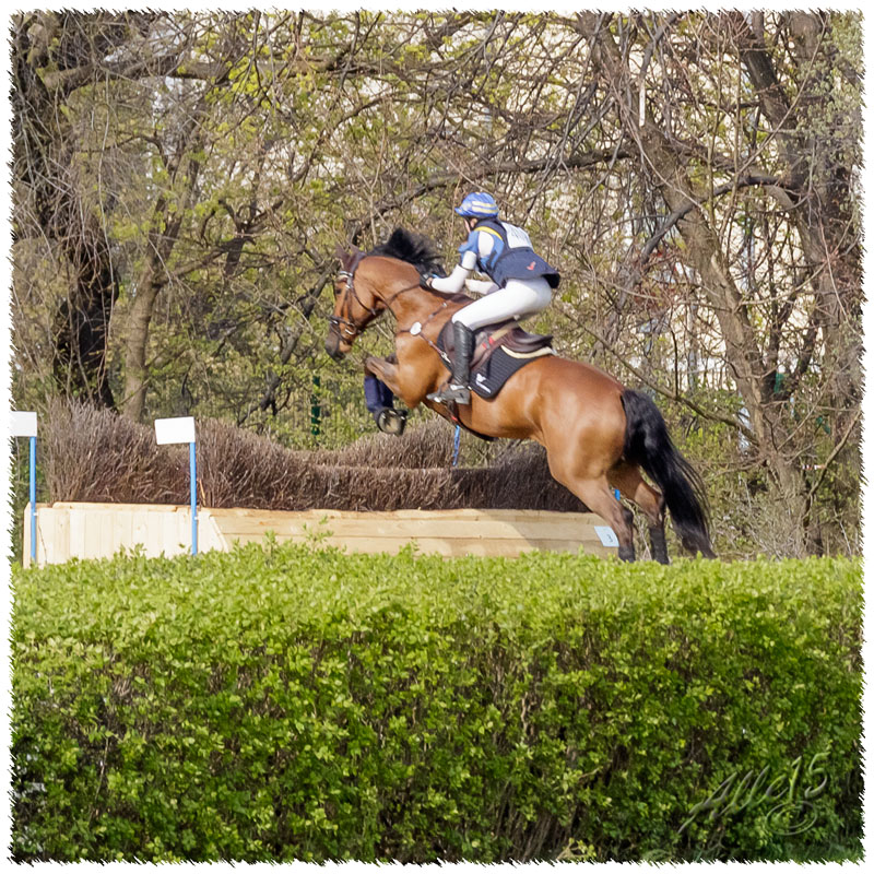 03-1504-2322-Sopot-SaG-Nisse-XC