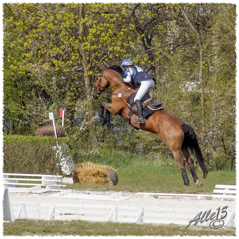 03-1504-2335-Sopot-SaG-Nisse-XC