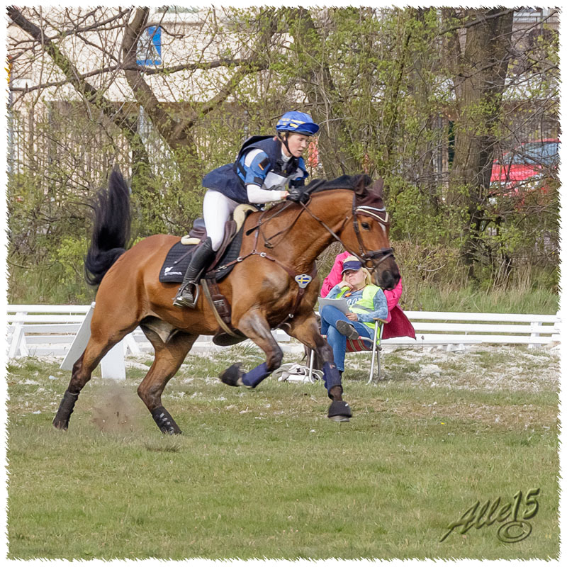 03-1504-2388-Sopot-SaG-Nisse-XC