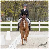 02-1504-1375-Sopot-SaG-Dino-DR