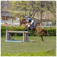 02-1504-2082-Sopot-SaG-Dino-XC