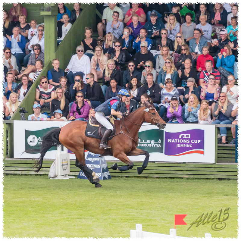 1507-5528-FalsterboHunting