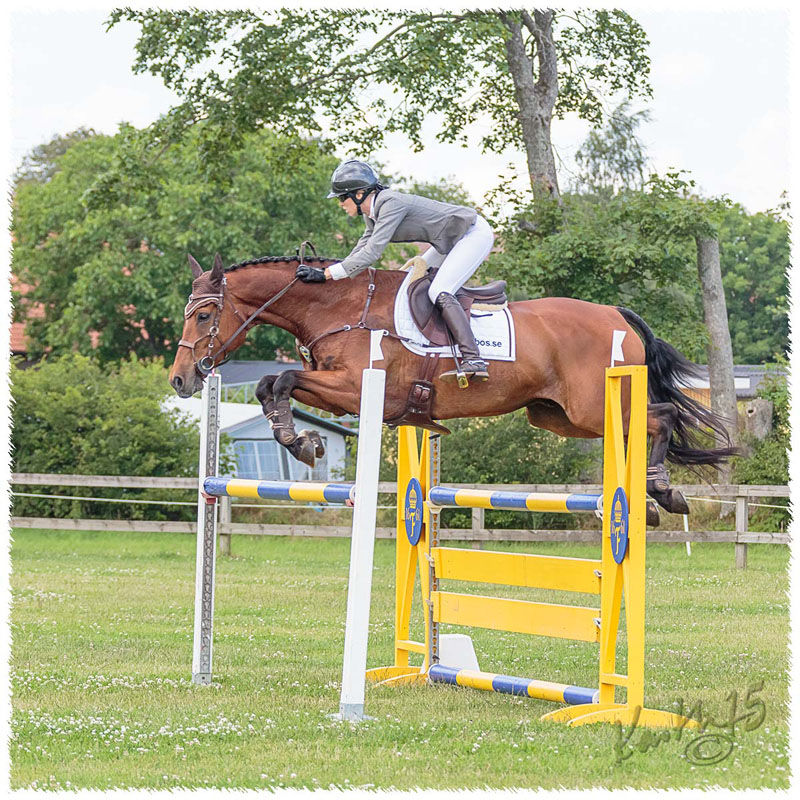 03-1507-3214-SaG-Nisse-SJ