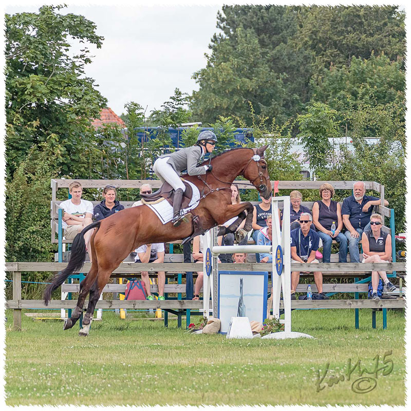 03-1507-3225-SaG-Nisse-SJ