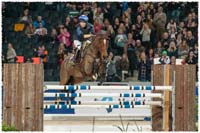 1511-7004-SIHS
