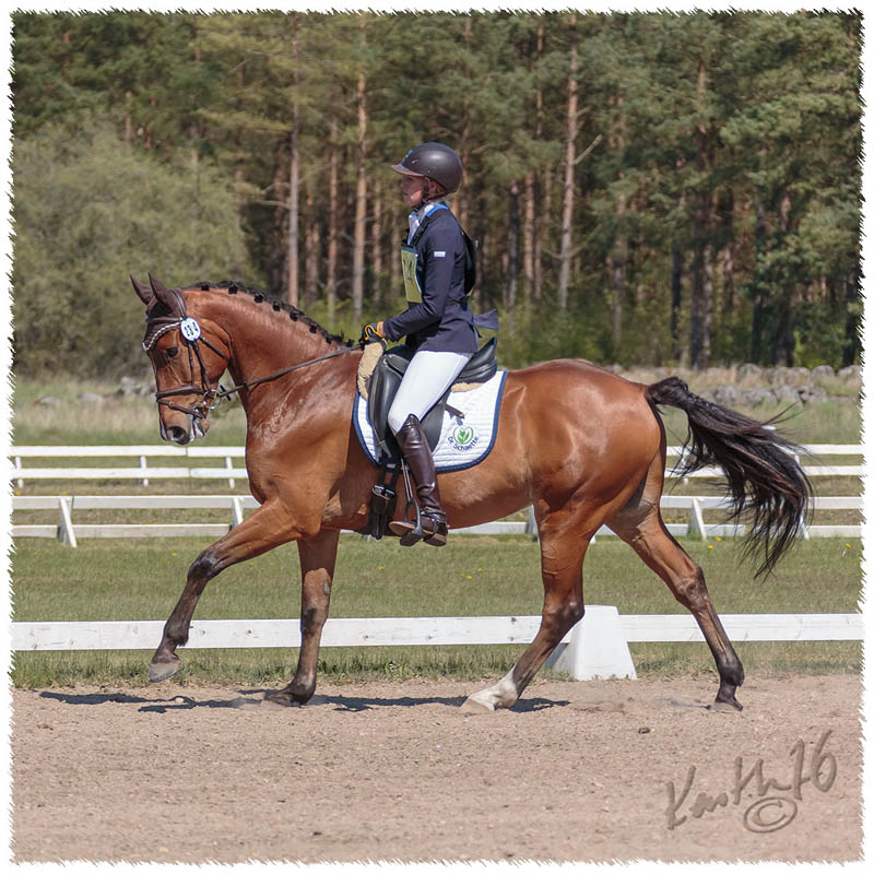 1605-9141-gaerds_rf-DR-Pelle