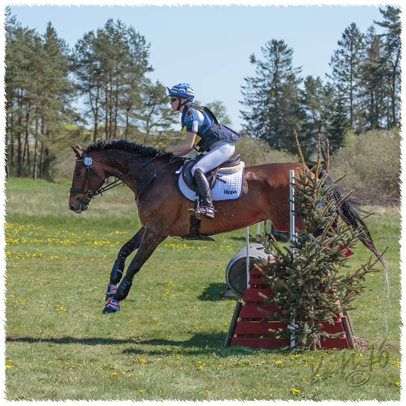 1605-9328-gaerds_rf-XC-Carambole