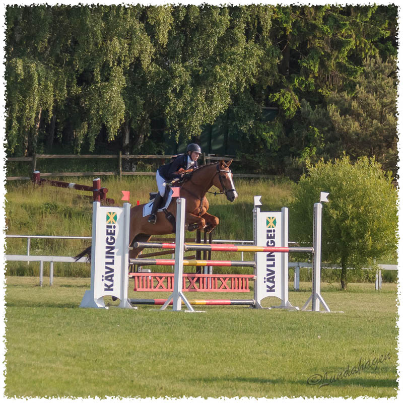 1605-1--0095-Dagstorp-Mackan-SJ-50D