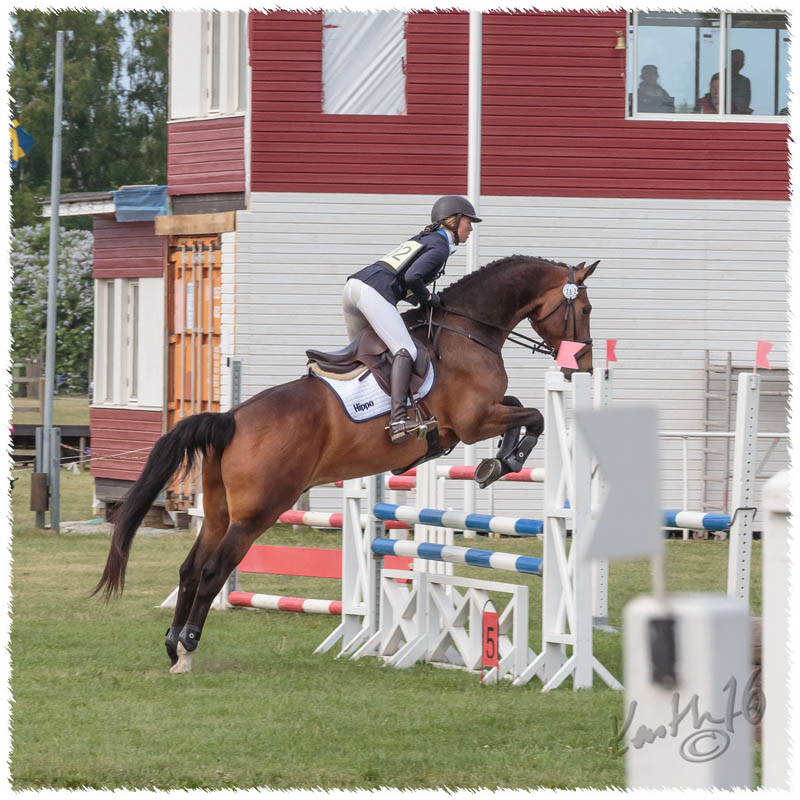 1605-2--0116-Dagstorp-Carmbole-SJ