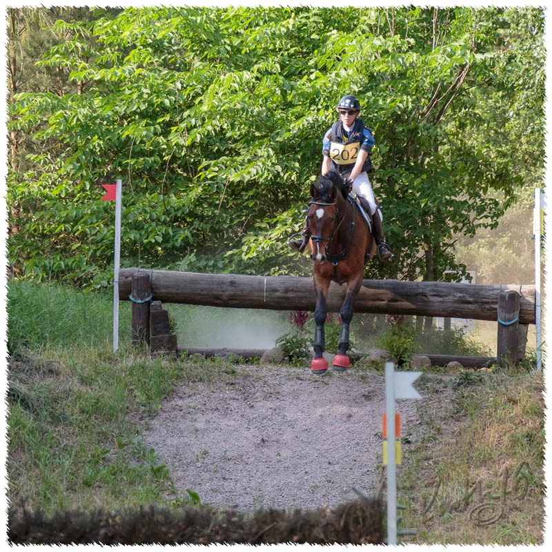 1605-2--0490-Dagstorp-Carambole-XC