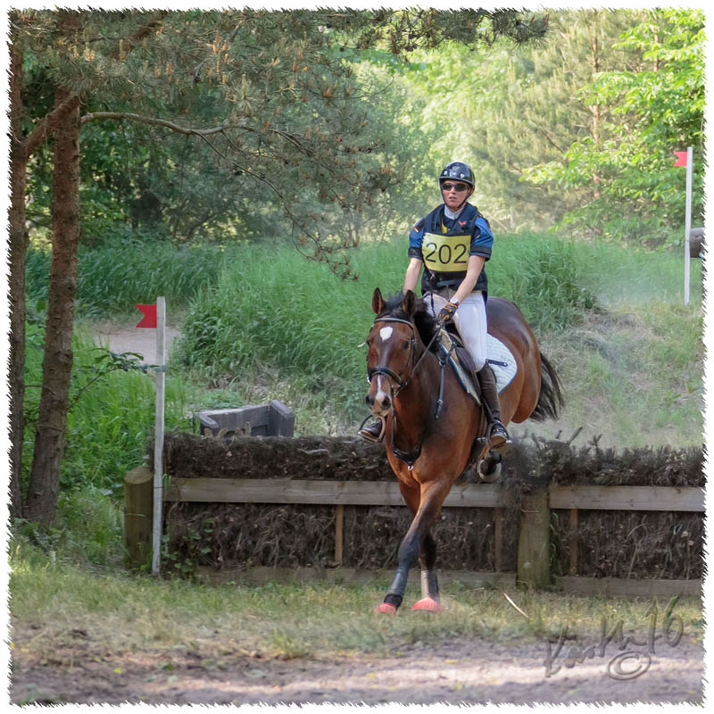 1605-2--0495-Dagstorp-Carambole-XC