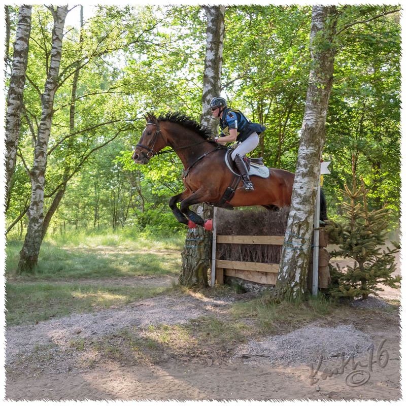 1605-2--0504-Dagstorp-Carambole-XC