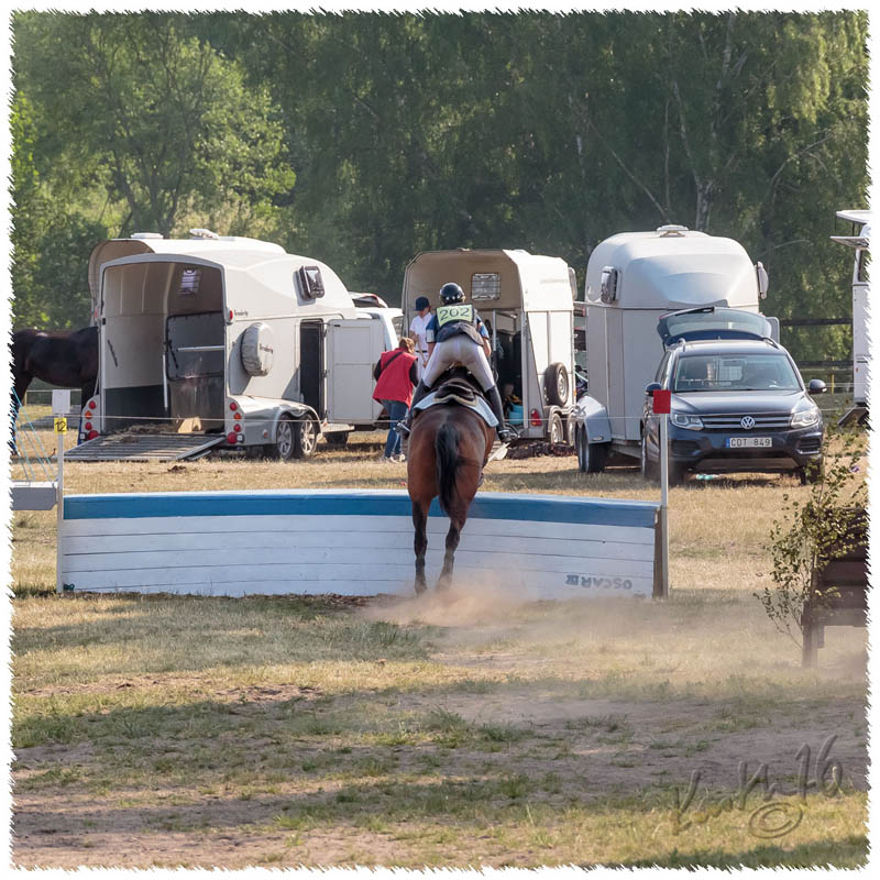 1605-2--0509-Dagstorp-Carambole-XC