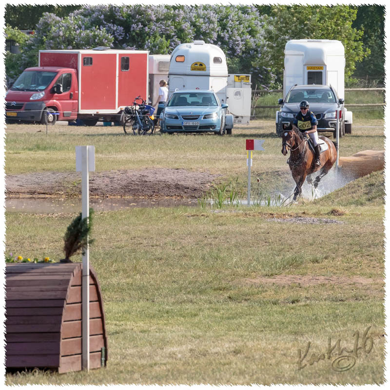 1605-2--0518-Dagstorp-Carambole-XC