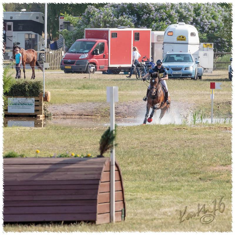 1605-2--0520-Dagstorp-Carambole-XC