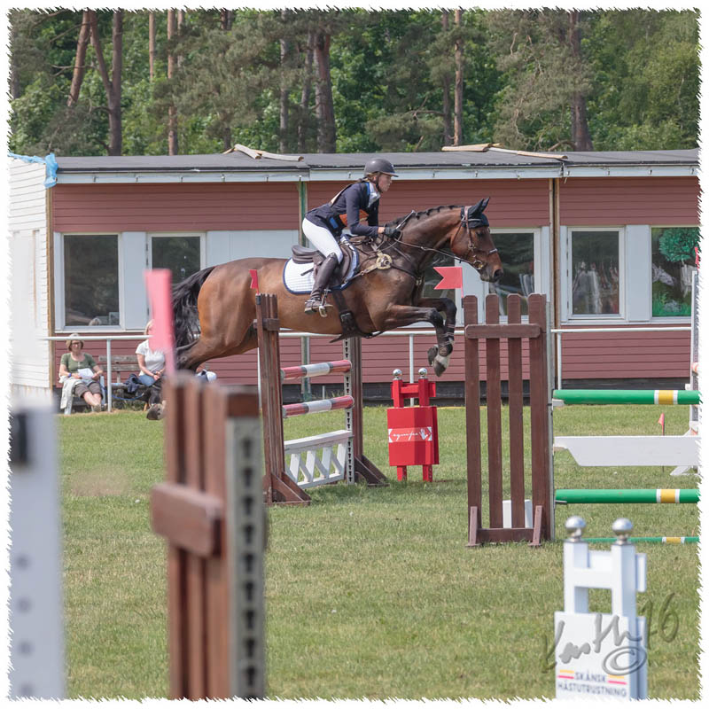 1605-5--0274-Dagstorp-X2-SJ