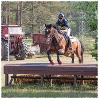 1605-2--0481-Dagstorp-Carambole-XC