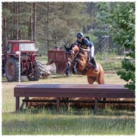 1605-3--0422-Dagstorp-Pelle-XC