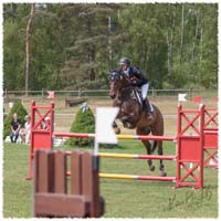 1605-5--0311-Dagstorp-X2-SJ