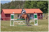 1606-04-1249-Flyinge-Carambole-SJ