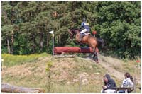 1606-04-1681-Flyinge-Carambole-XC