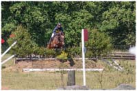 1606-04-1685-Flyinge-Carambole-XC