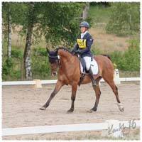 1606-5-2065-hkrk-pelle-dr