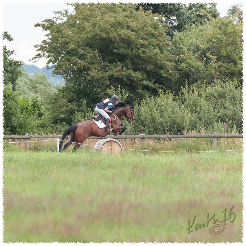 1607-0488-Flyinge-XC-Luddan