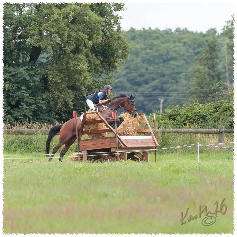 1607-0497-Flyinge-XC-Luddan