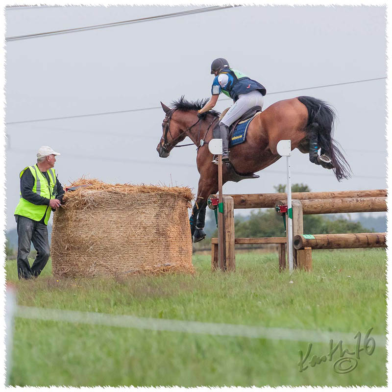 1607-0566-Flyinge-XC-Nisse