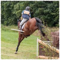 1607-0476-Flyinge-XC-Luddan