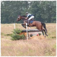 1607-0603-Flyinge-XC-X2