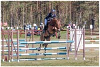 1704-8880-Gaerds-SaG-Pelle