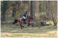 1704-9154-Gaerds-SaG-Pelle