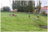 1709-6294-Waregem-XC-bana