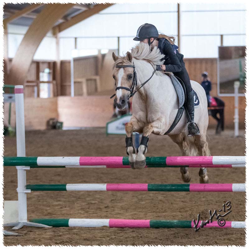 1310-CR6955-Ponny