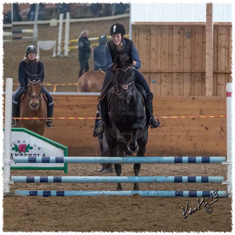 1310-CR7026-Horse