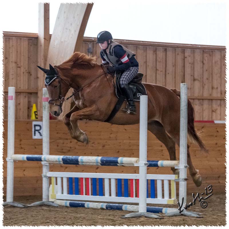 1310-CR7113-Horse